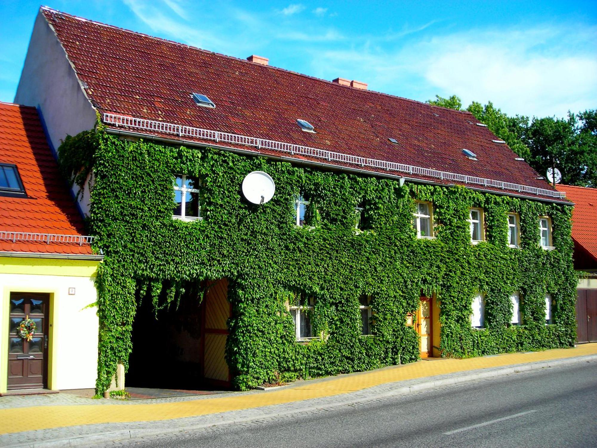 Liebenwalde Ferienwohnung Auf Ehem. Alten Bauernhof מראה חיצוני תמונה
