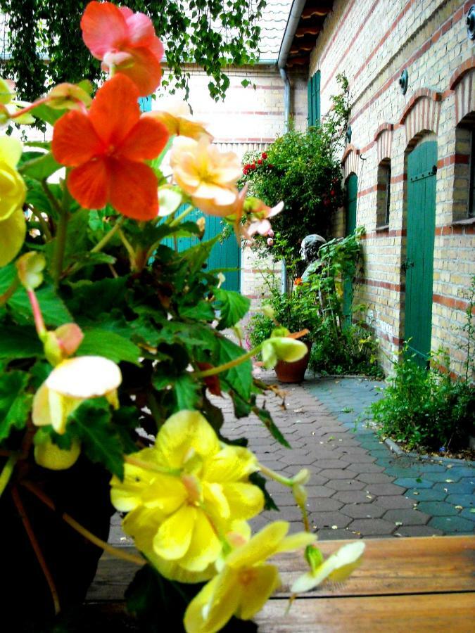 Liebenwalde Ferienwohnung Auf Ehem. Alten Bauernhof מראה חיצוני תמונה